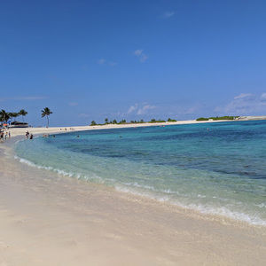 Meet your Posher, Jing